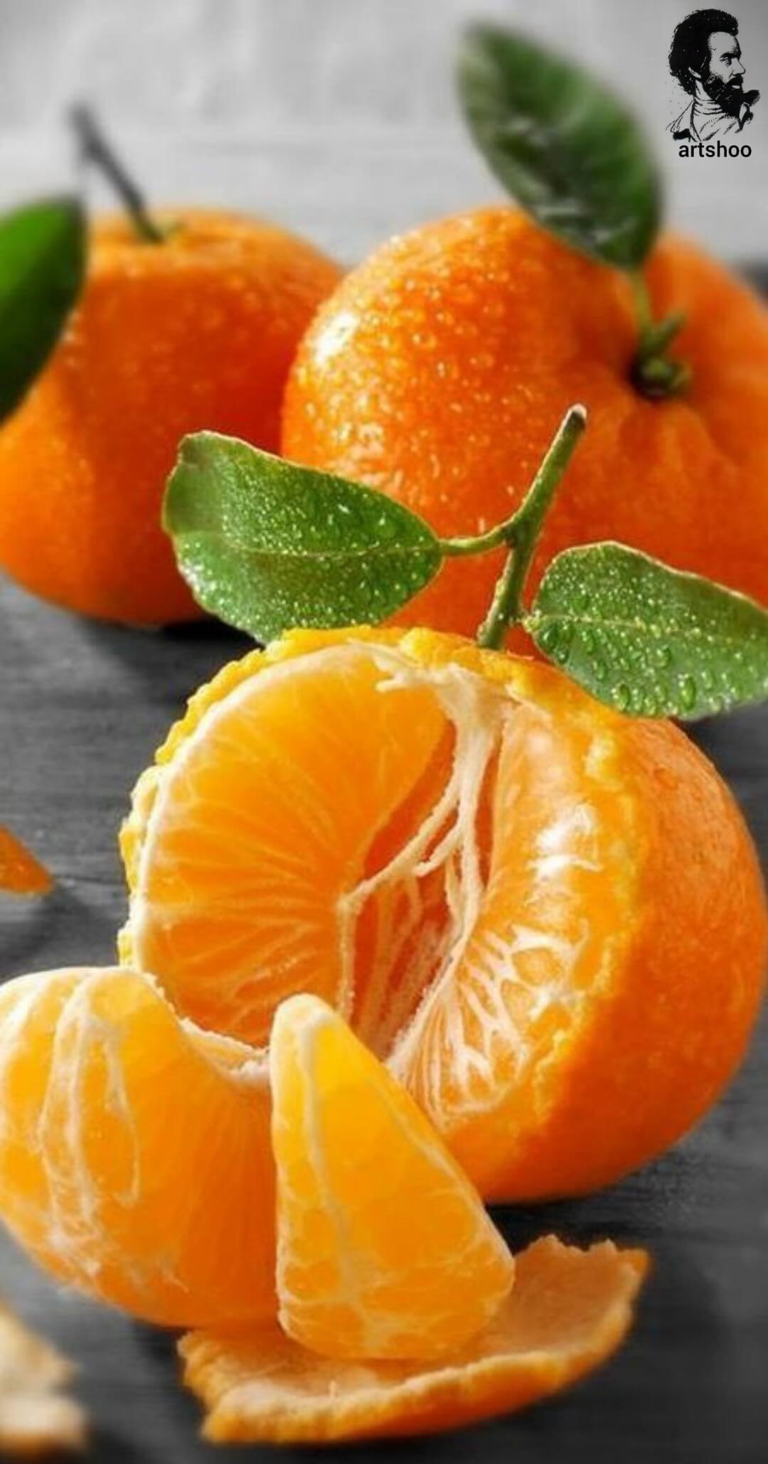 آموزش نقاشی رنگ روغن